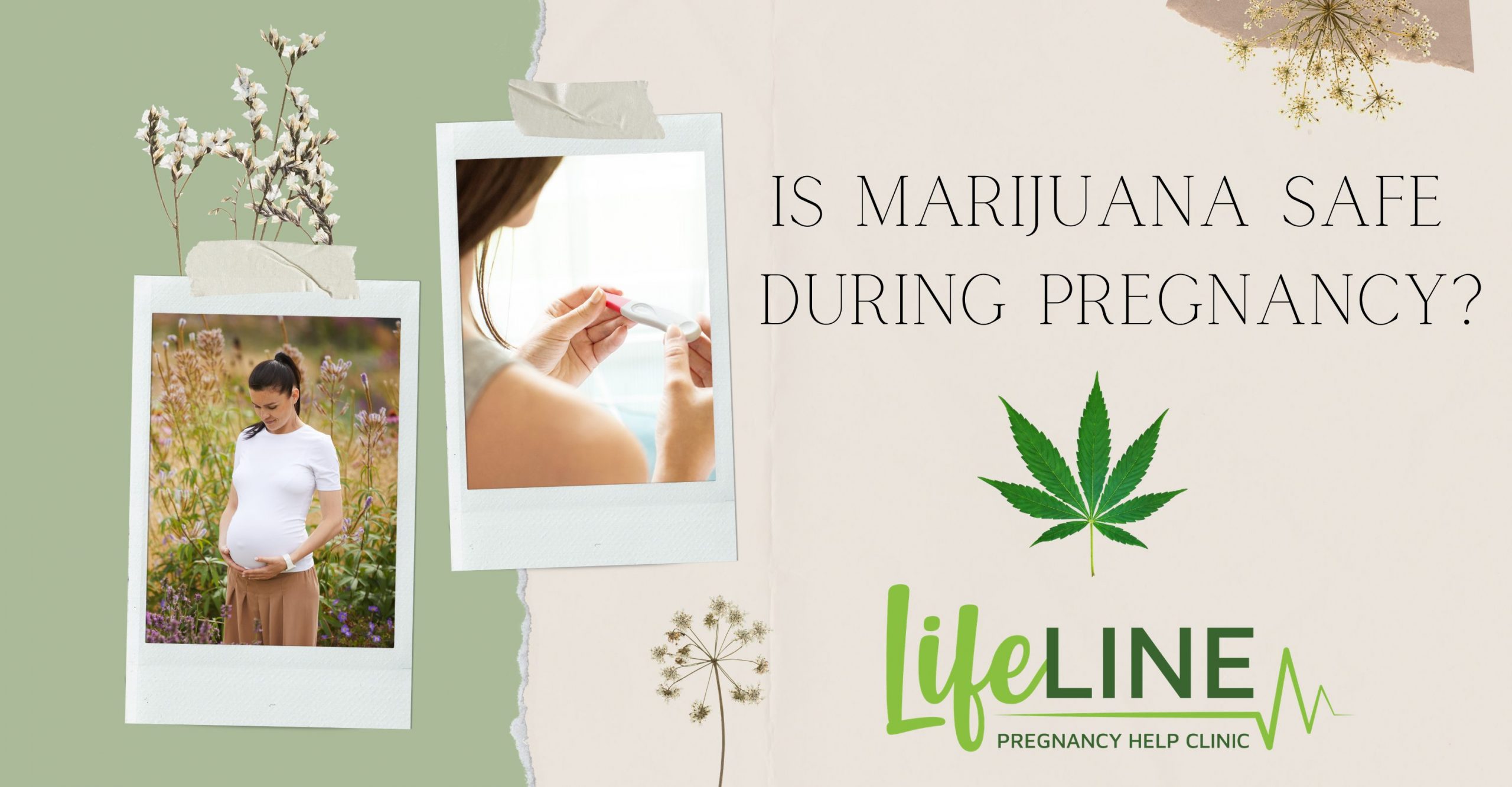 marijuana during pregnancy